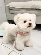 Dog leash chest strap vest style small and medium-sized dog